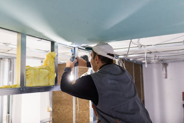 Best Garage Insulation Installation  in Town Line, NY