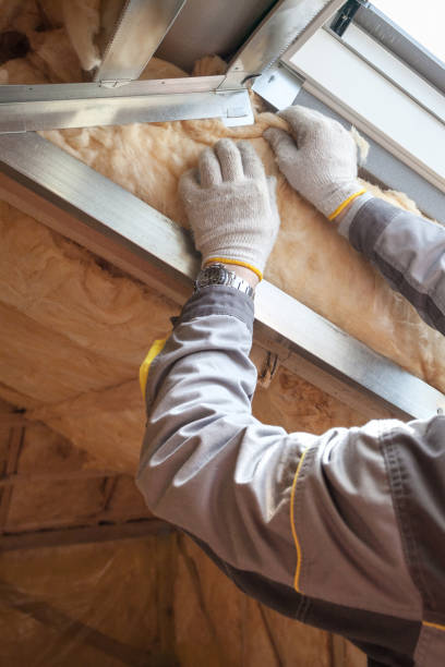 Best Insulation Removal  in Town Line, NY