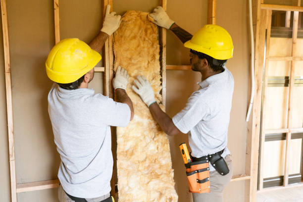 Best Blown-in Insulation  in Town Line, NY